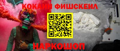 индика Кингисепп