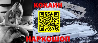 индика Кингисепп