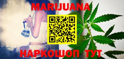 индика Кингисепп