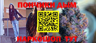 индика Кингисепп