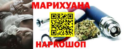 индика Кингисепп