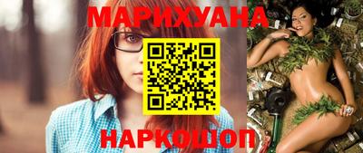 индика Кингисепп