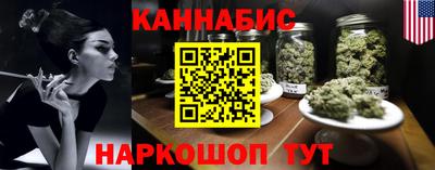 индика Кингисепп