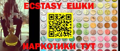 индика Кингисепп