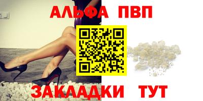 индика Кингисепп