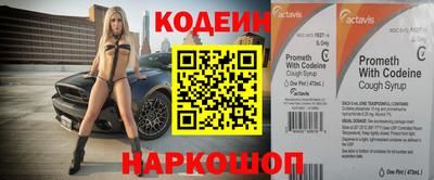 индика Кингисепп