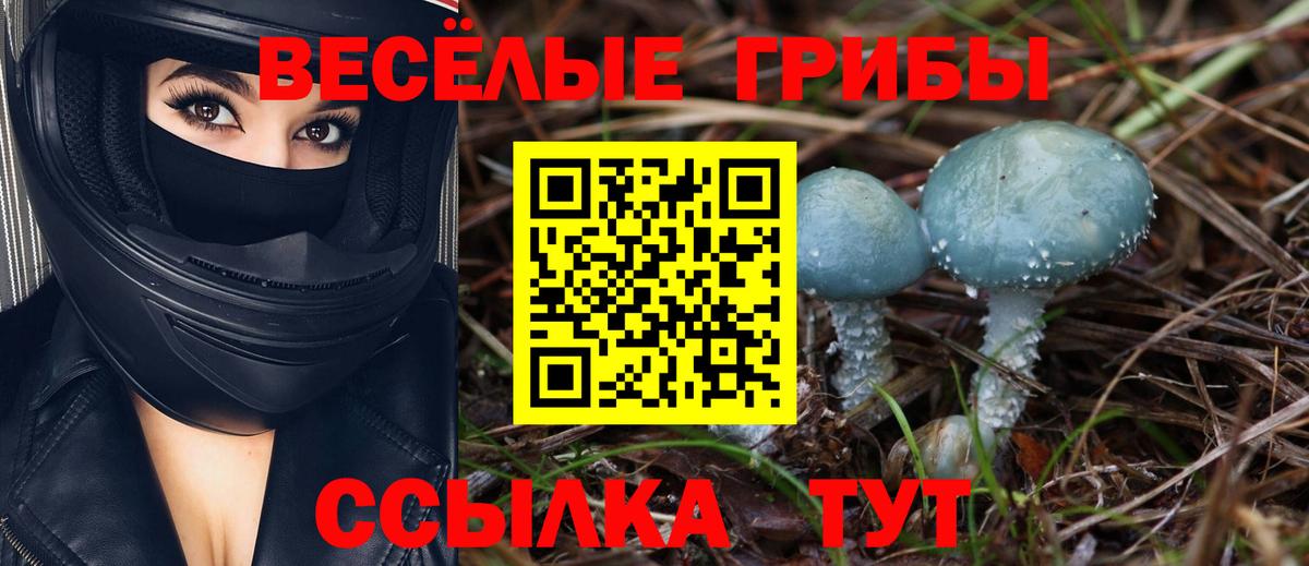 Псилоцибиновые грибы GOLDEN TEACHER Дагестанские Огни