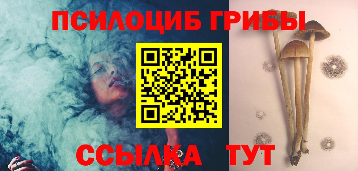Галлюциногенные грибы Psilocybine cubensis  Дагестанские Огни  Псилоцибиновые грибы мухоморы 