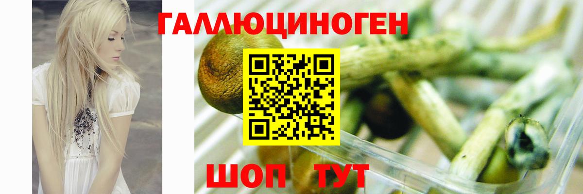 Галлюциногенные грибы ЛСД  Псилоцибиновые грибы Magic Shrooms  Дагестанские Огни  Вход с VPN 