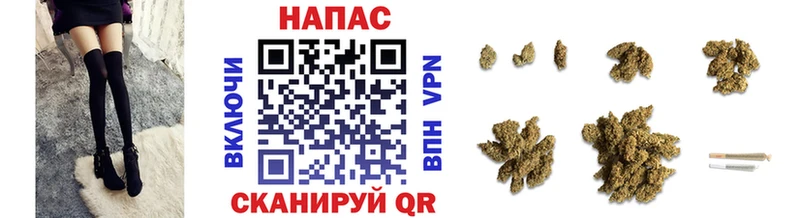 Конопля планчик  купить наркотик  Дагестанские Огни 